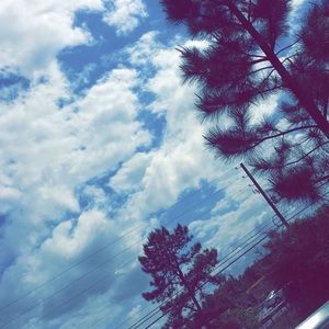 Meet your Posher, Roba